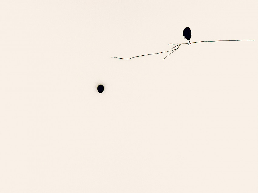 New Maliciousness (11)