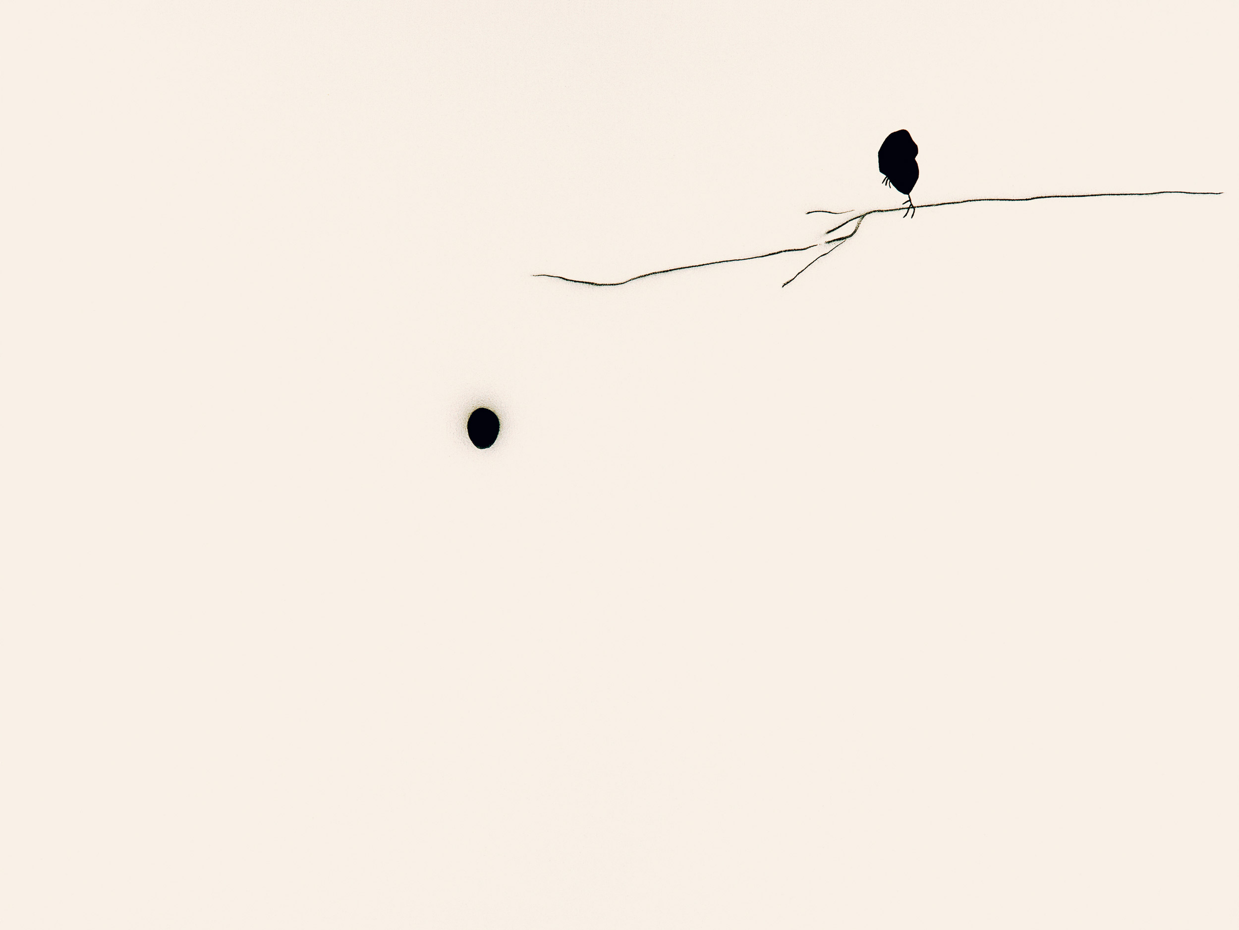 New Maliciousness (11)