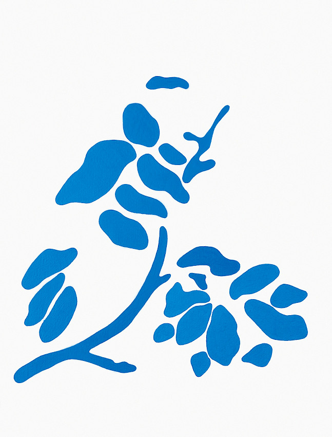 Fine-Toothed Patches, Proprietary and Free Software, Trojan.Xombe.A on Analytical Software