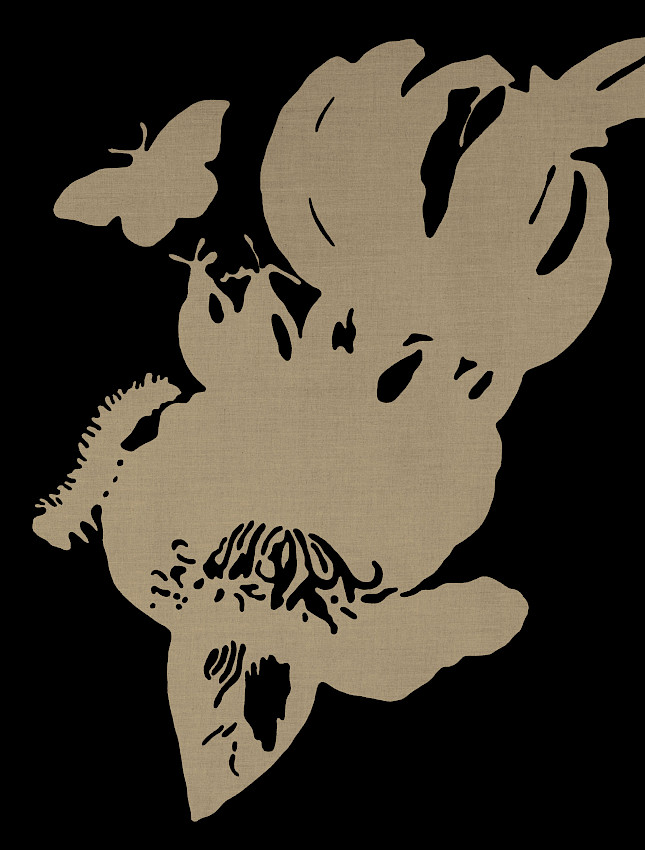 Five Beautiful Compilers in Halophilic Vegetation