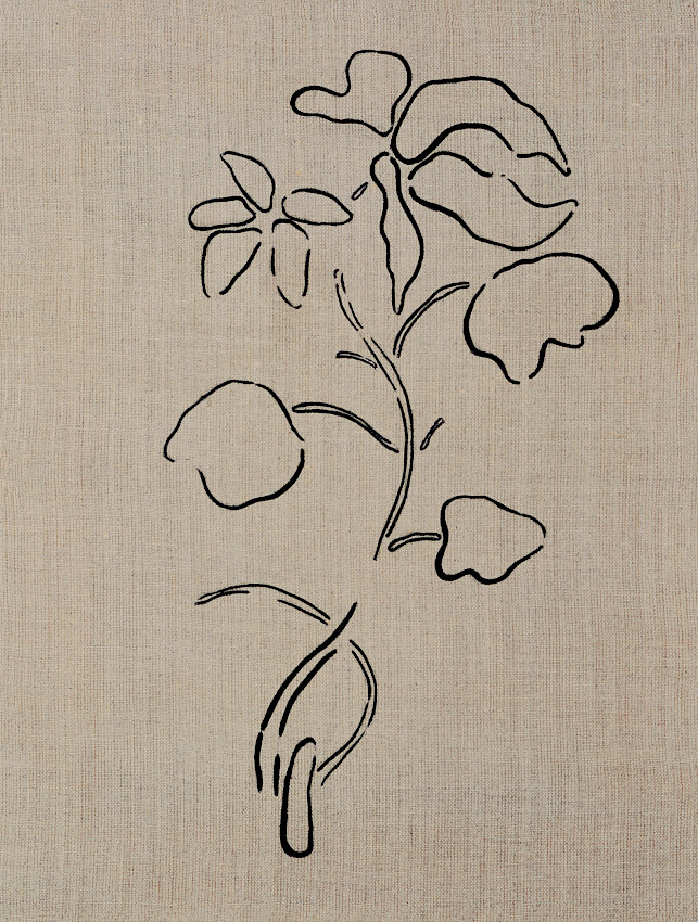 Hochstämmige, zweikeimblättrige Shareware