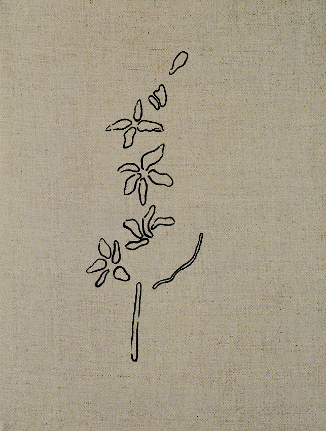 Donationware de cuero, perenne