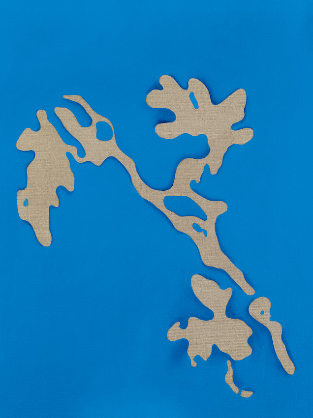 Categoría: Pocket PC software gratis (amante de la sal, blanco y perteneciente a la familia de los agrostides)