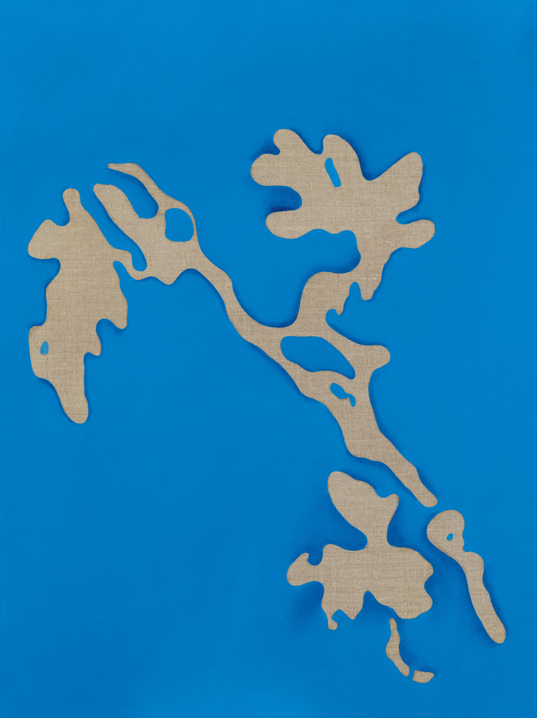 Categoría: Pocket PC software gratis (amante de la sal, blanco y perteneciente a la familia de los agrostides)