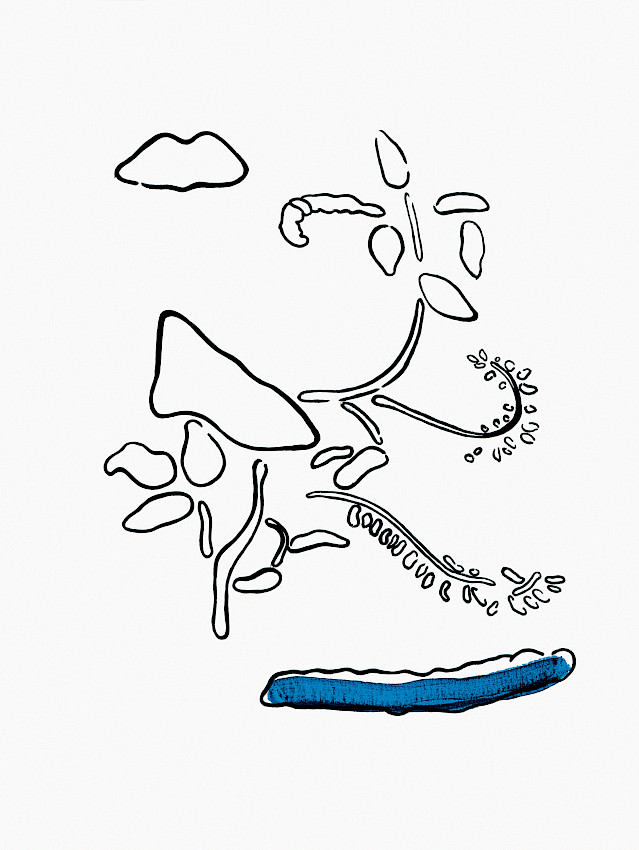 Open Source Software