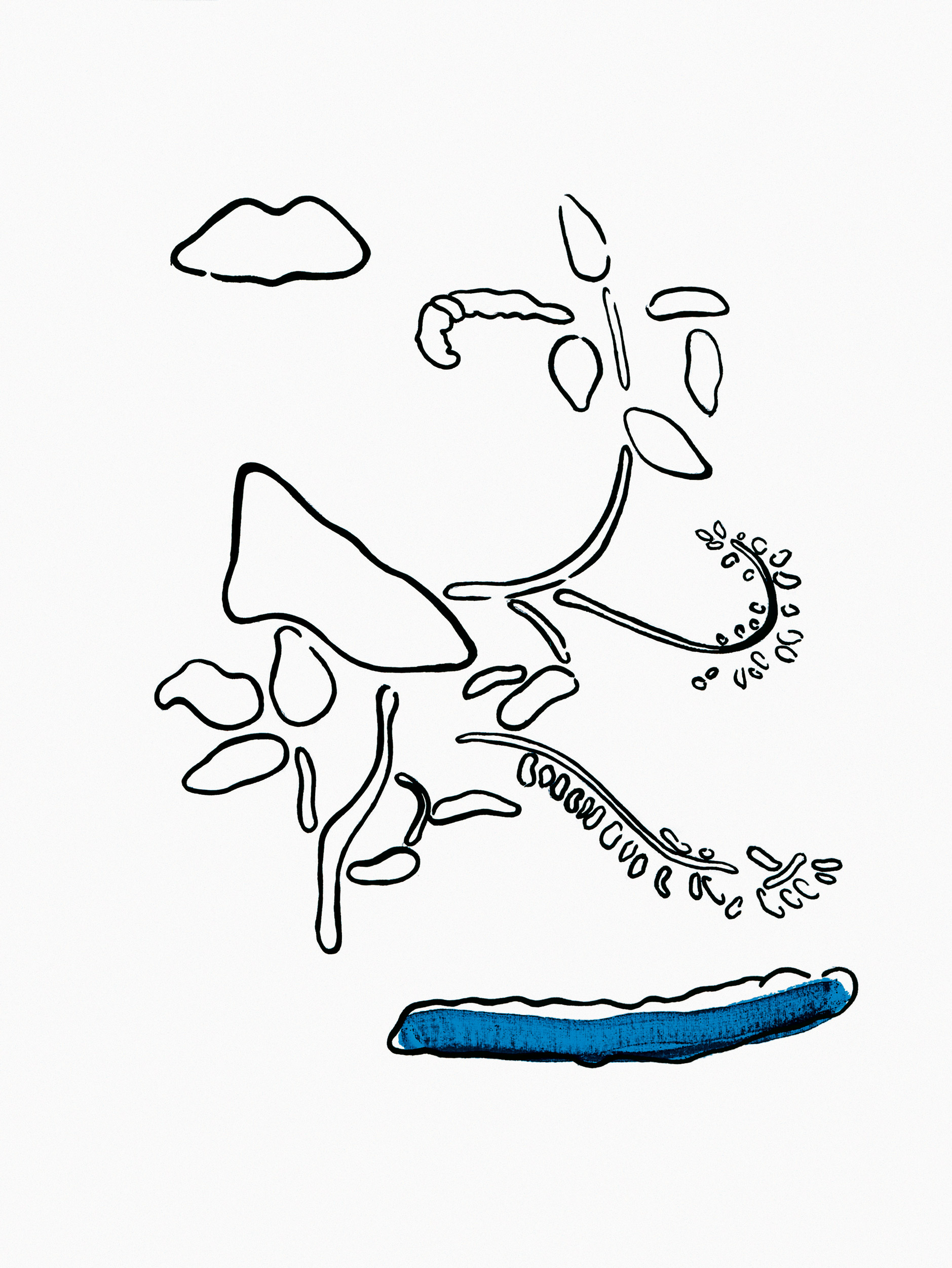 Open Source Software