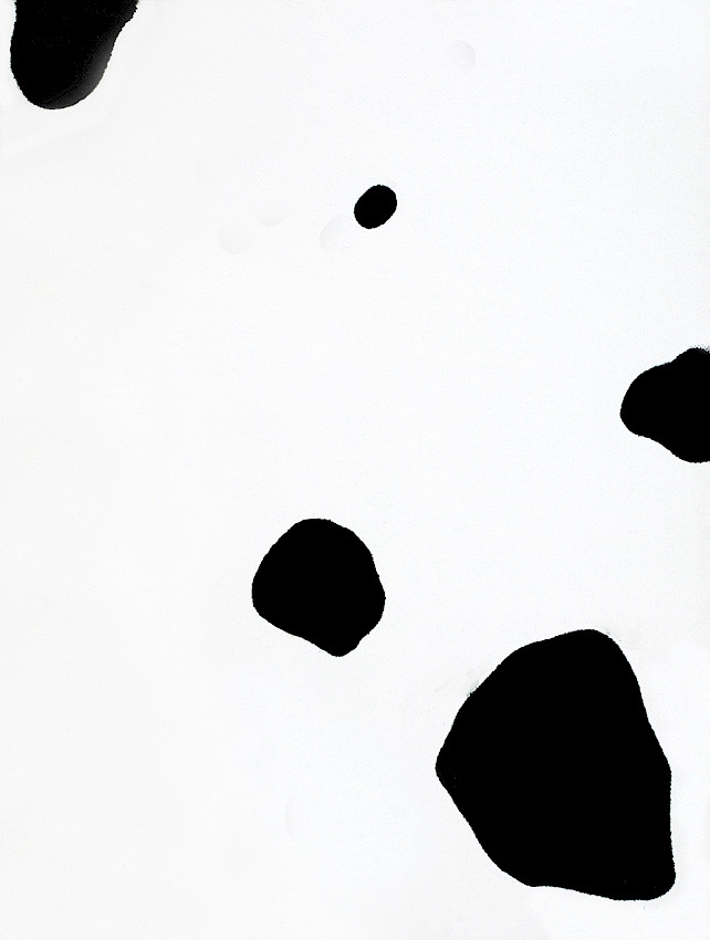 Polke or Baby Dalmatian? (01)
