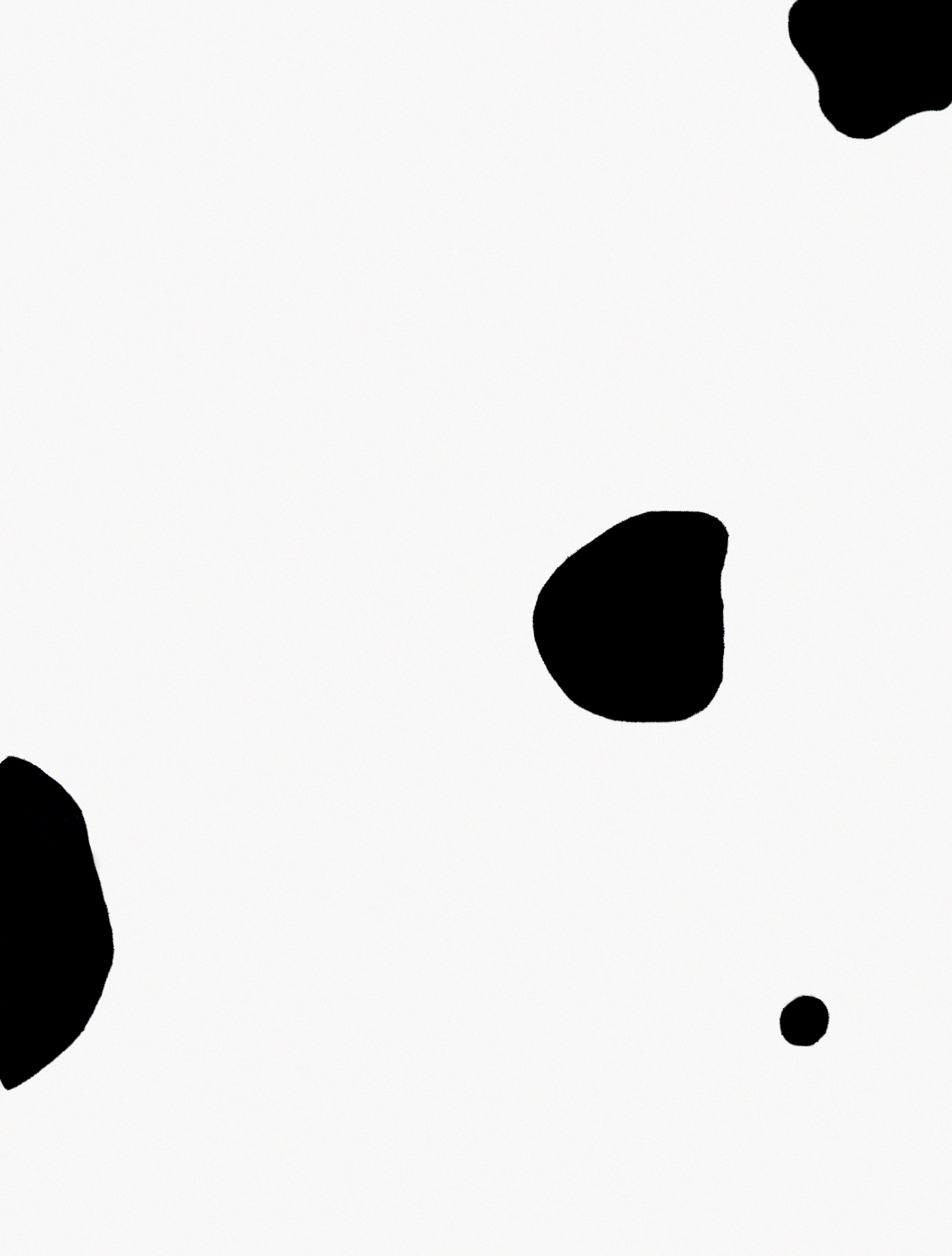 ¿Polke o pequeño dálmata? (02)