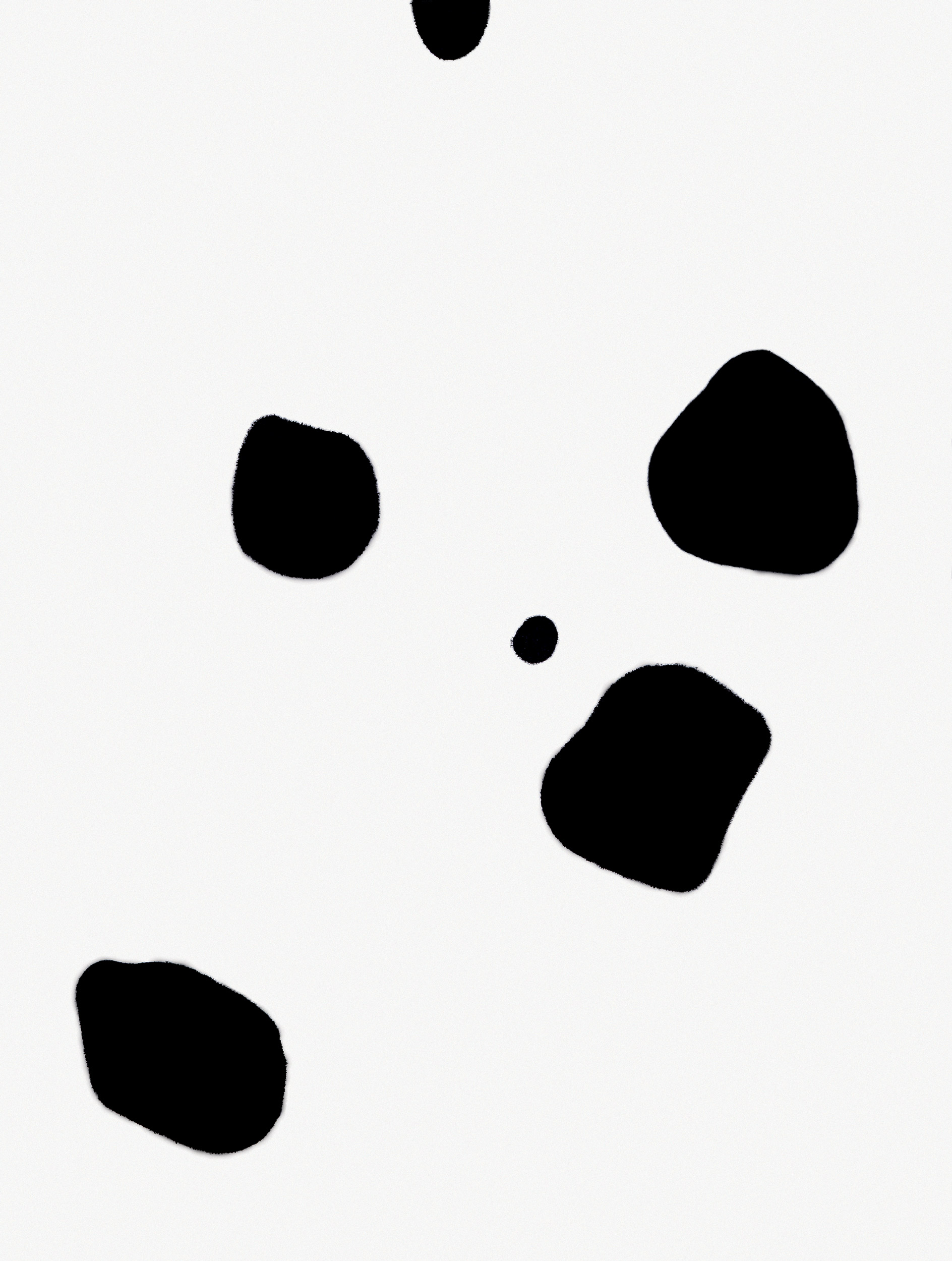 Polke or Baby Dalmatian? (03)