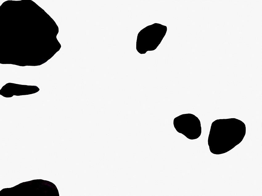 Polke or Dalmatian? (02)