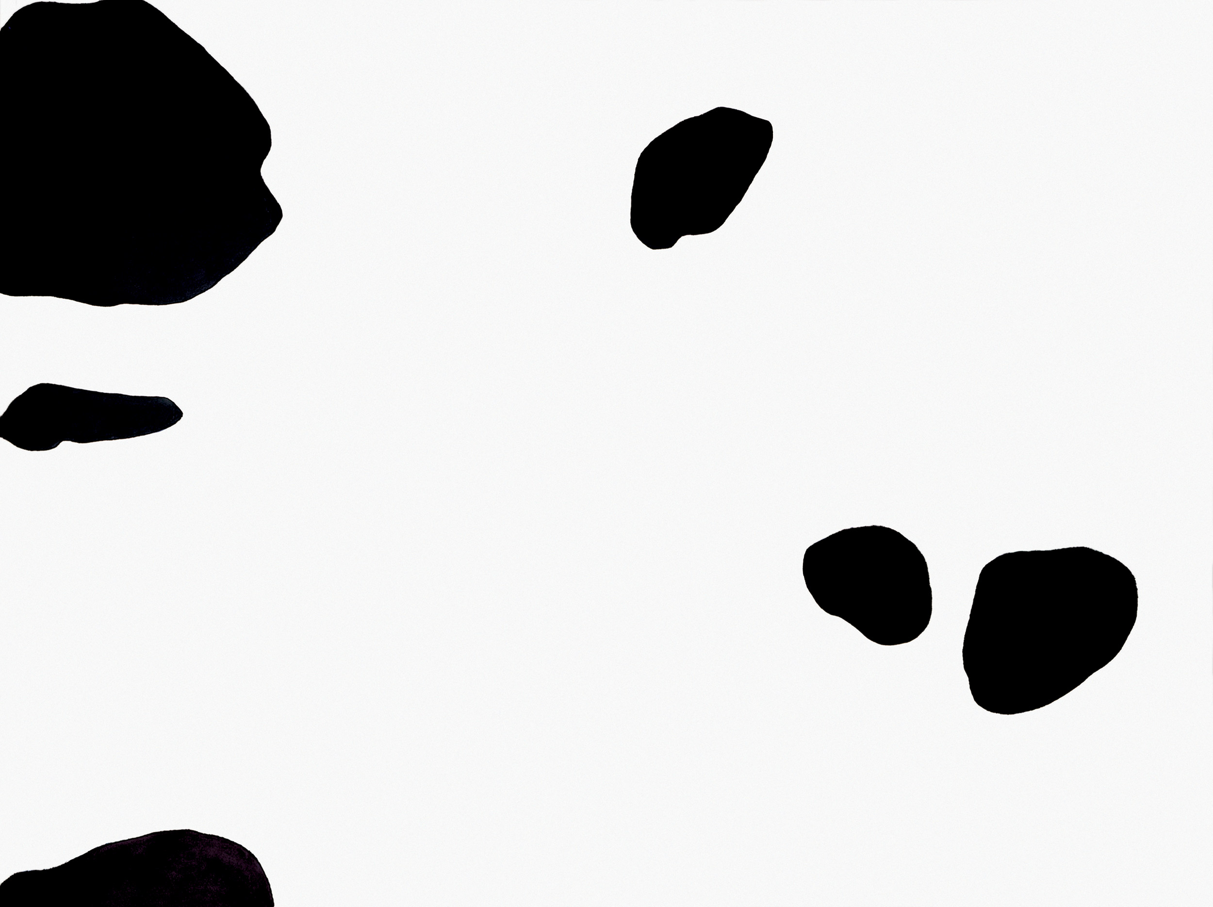 ¿Polke o dálmata (02)