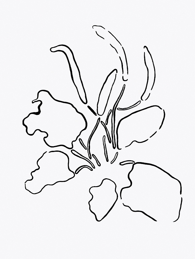 Service.exe en editor Snapshot