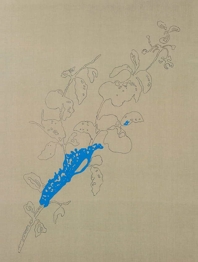 Virus Win32.FOSFORO.F auf unsichtbarer Software