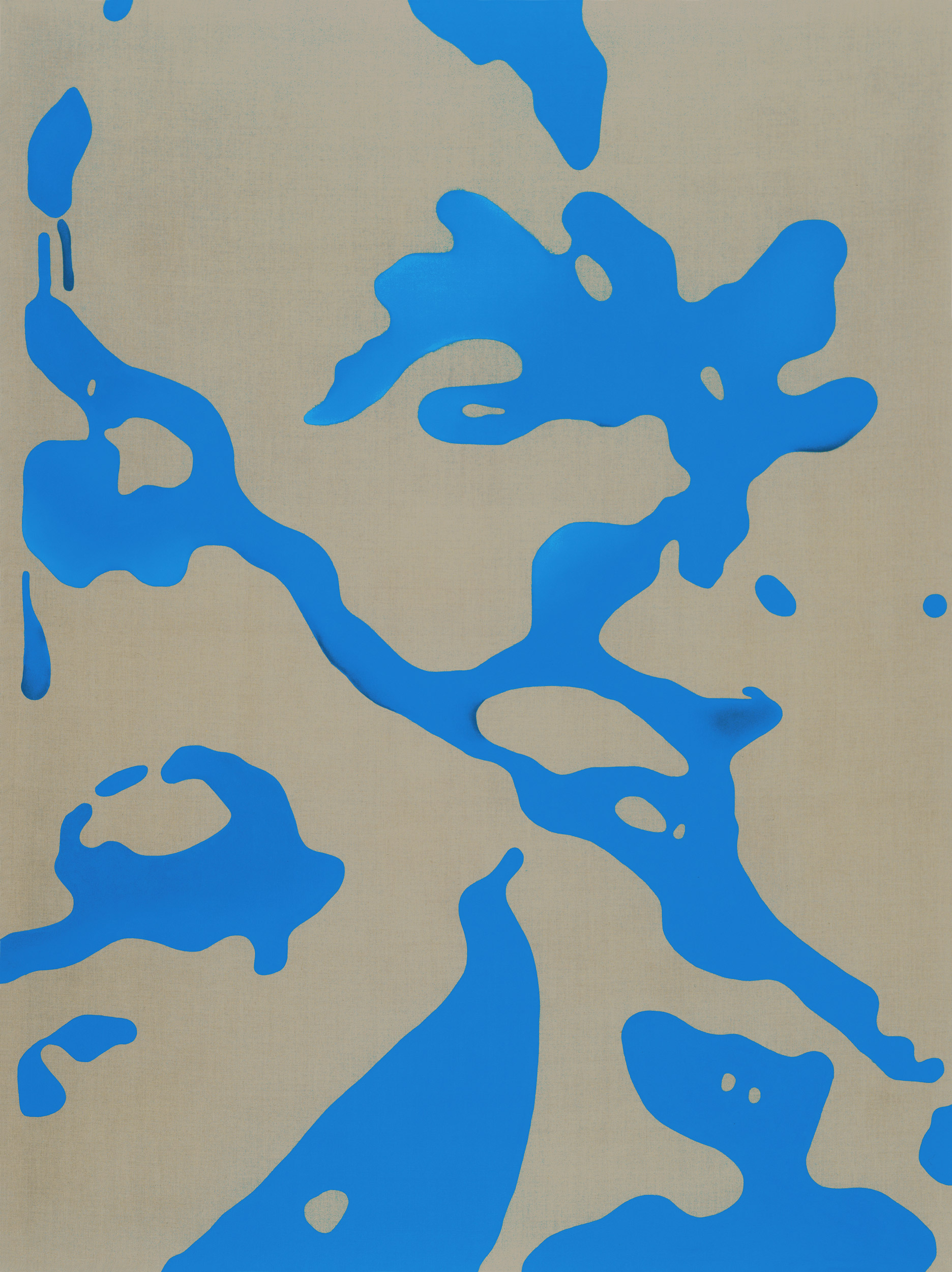 Leotia viscosa entre verde y amarilla (Leotia lubrica).2.0.