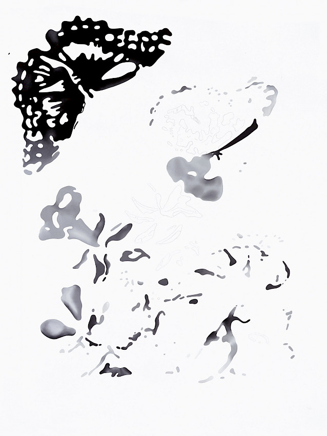 Virus INEDT.exe Approaching Insanity (Lack of a Registration Application)