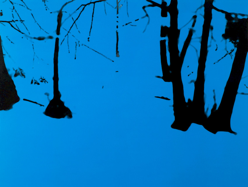 Hätte ich Euch gar einen Angriff auf den Konsens geschichtlicher Last und unvergänglicher Schande malen sollen?