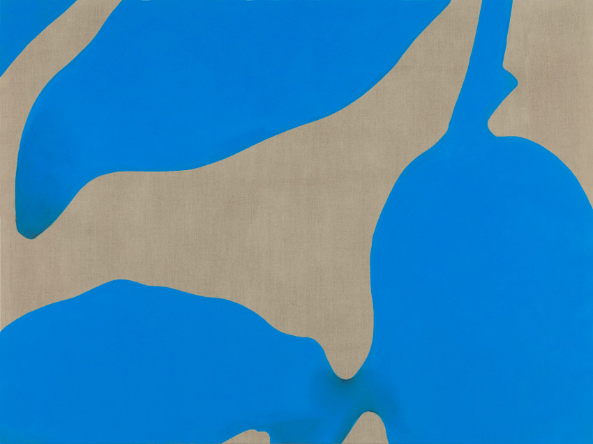 Autorun Worm Morphex (Version 1.3) with Ovaries (Indehiscent Fruit)