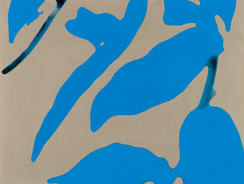 Autorun Worm Morphex (Version 1.6) in a Green Blossoming Phase