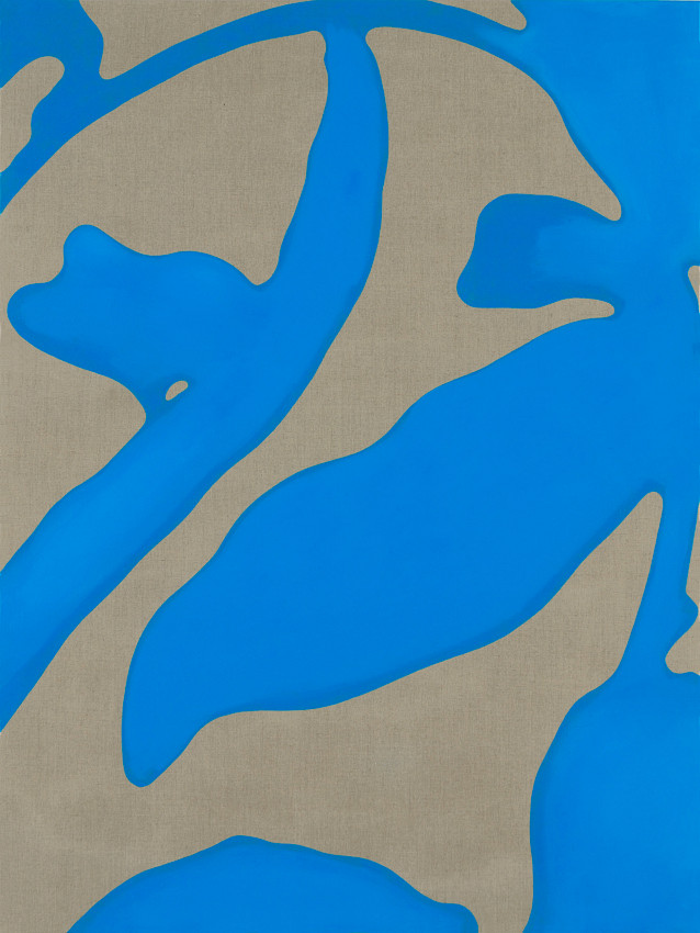 Enlarged Sections of the Pericarp Autorun Worm Morphex (Version 2.0.1)