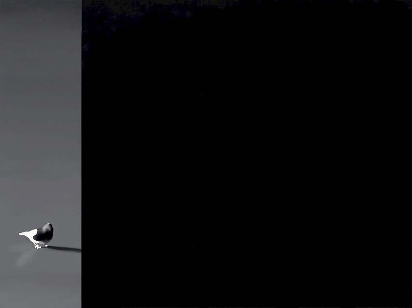 Augurenlächeln (014)