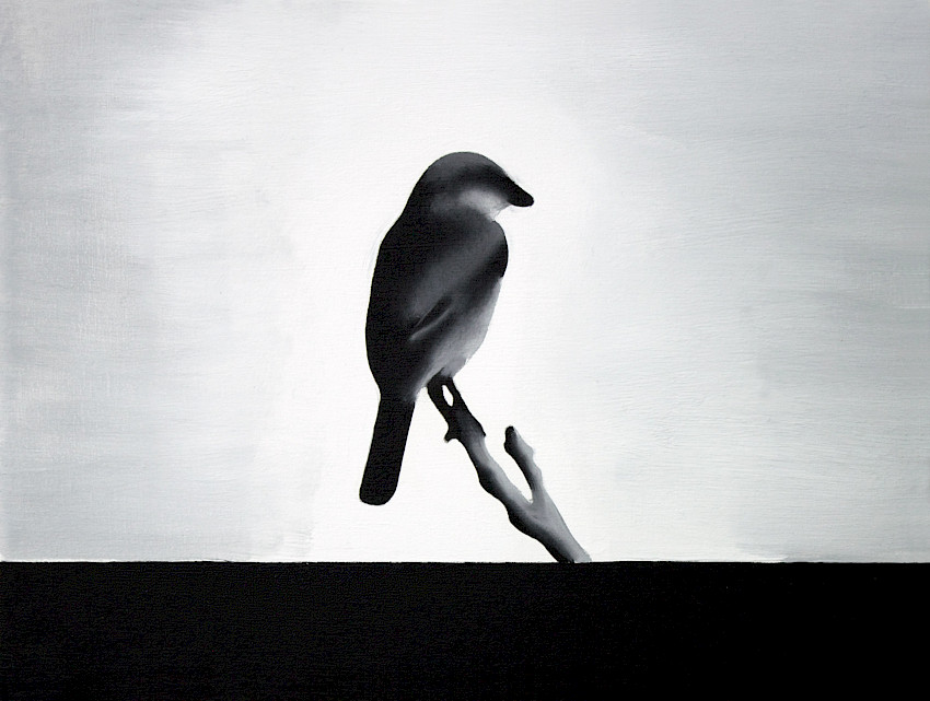 Augurenlächeln (018)