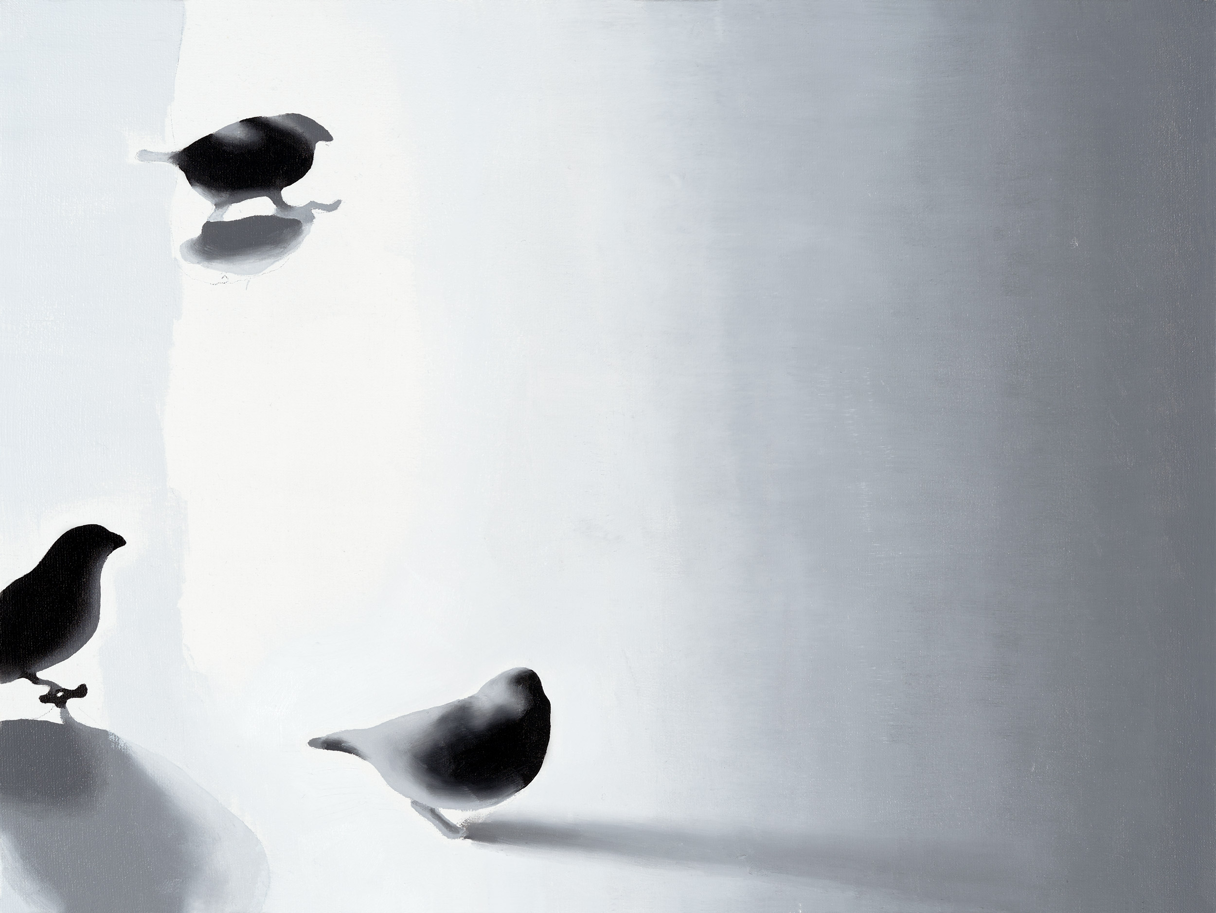 Augurenlächeln (025)