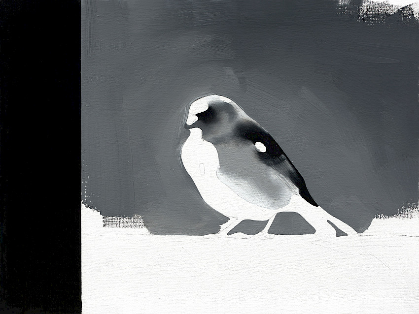 Augurenlächeln (029)