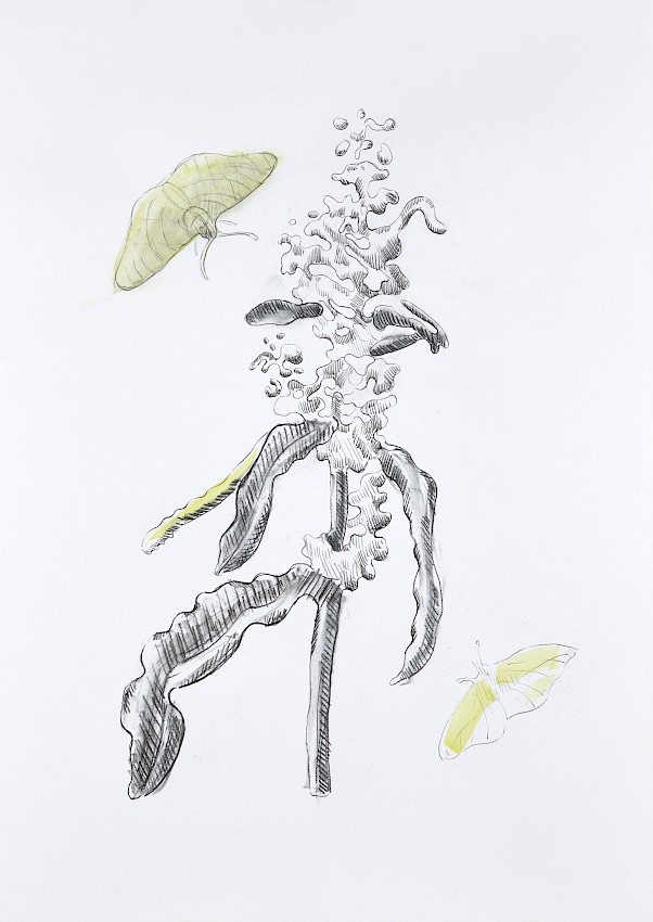 Blauer Virus "Tuareg"