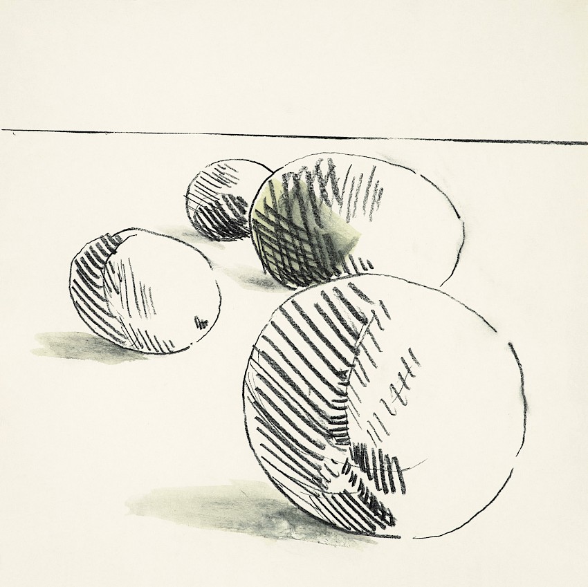 The Lemons Don´t Like the Kiwi in the Drawing (04)