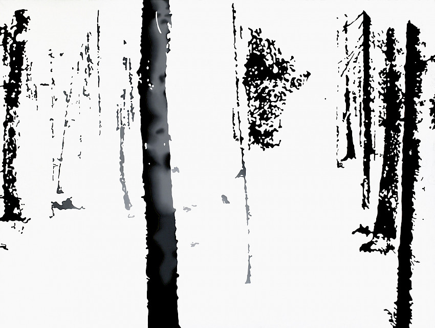 I Could Also Have Painted You a Picture with a High Degree of Social Competency