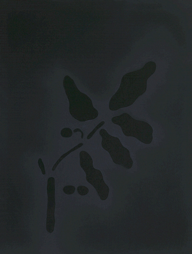 Infizierter Wurm.exe für nur 23,99 €