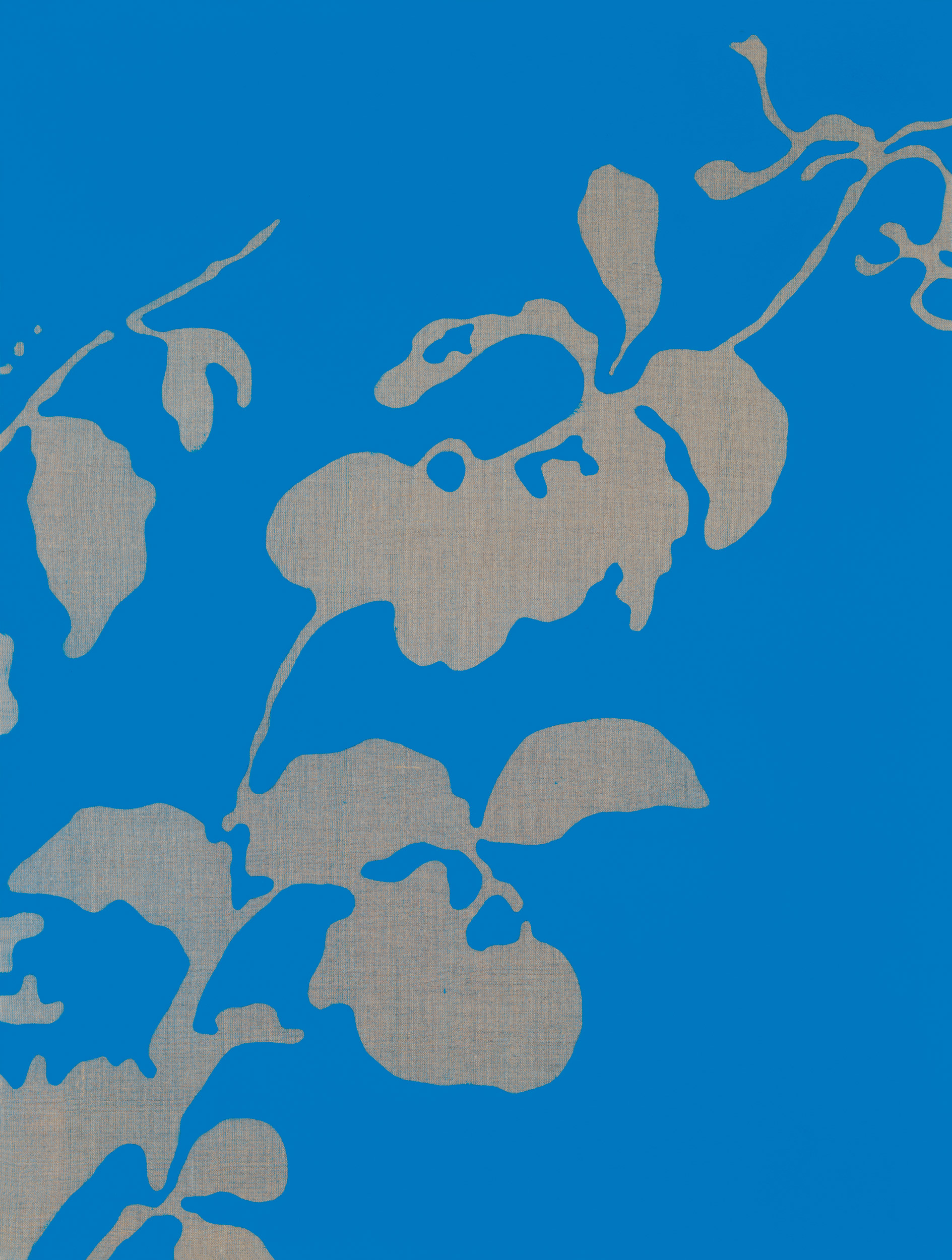 Collar de corazones 1.0. (Ceropegia Linearis)