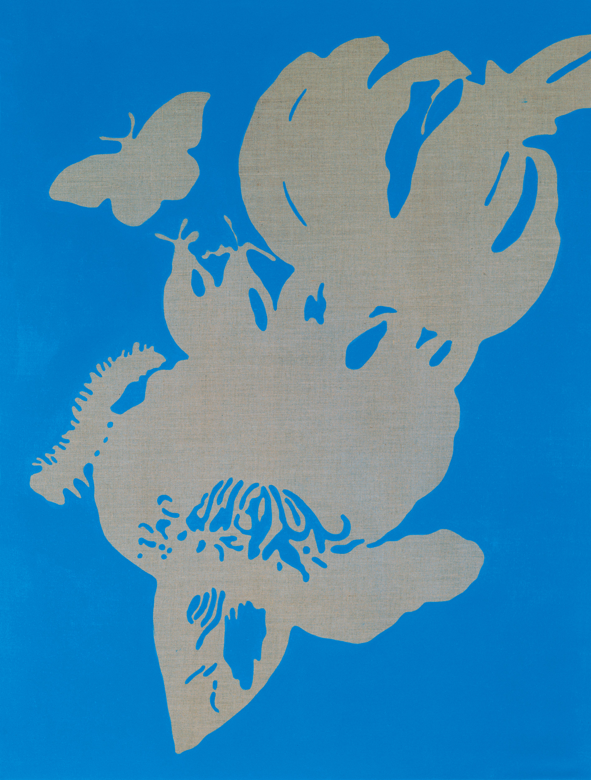 Virus de orientación