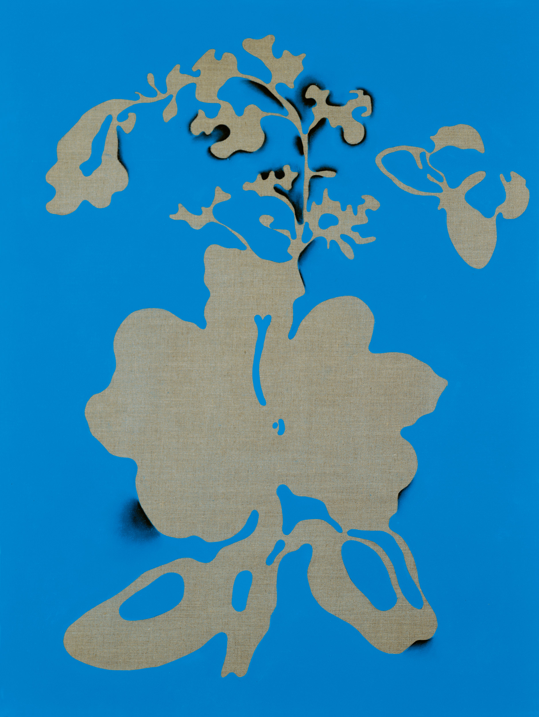 Antivirus Hexanuclear