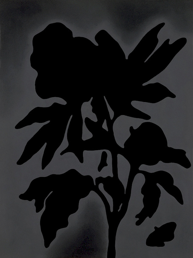 Branches with Highly Truncated Internodes (Distance Between Leaves) 6.4.2.