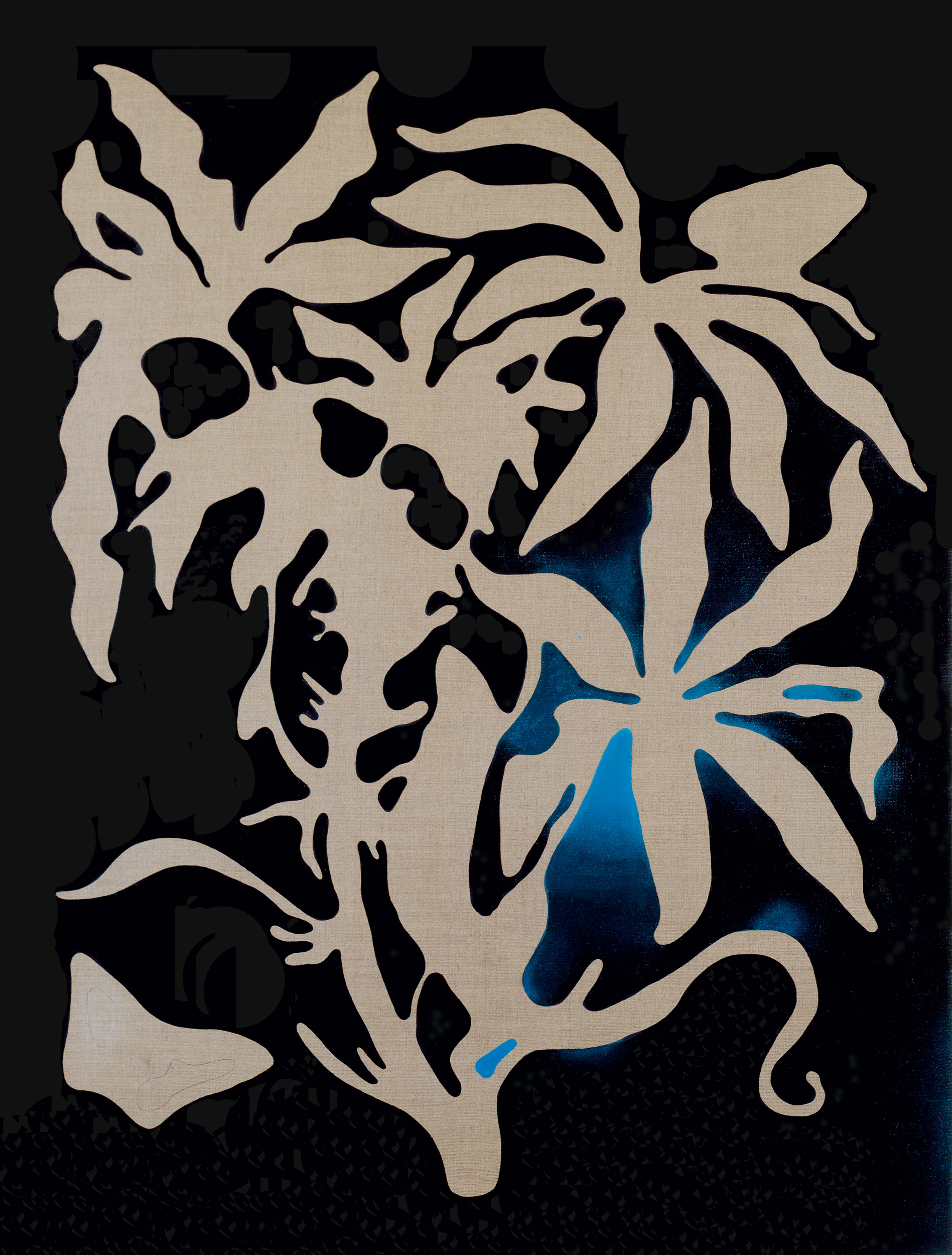 Editores WYSIWYG para HTML camuflados como lazo de amor (Chlorophytum Comosum)