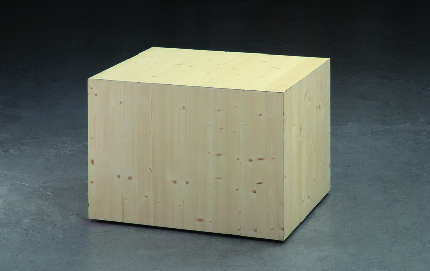 Caja negra 75 x 95 x 70 cm, 2005
