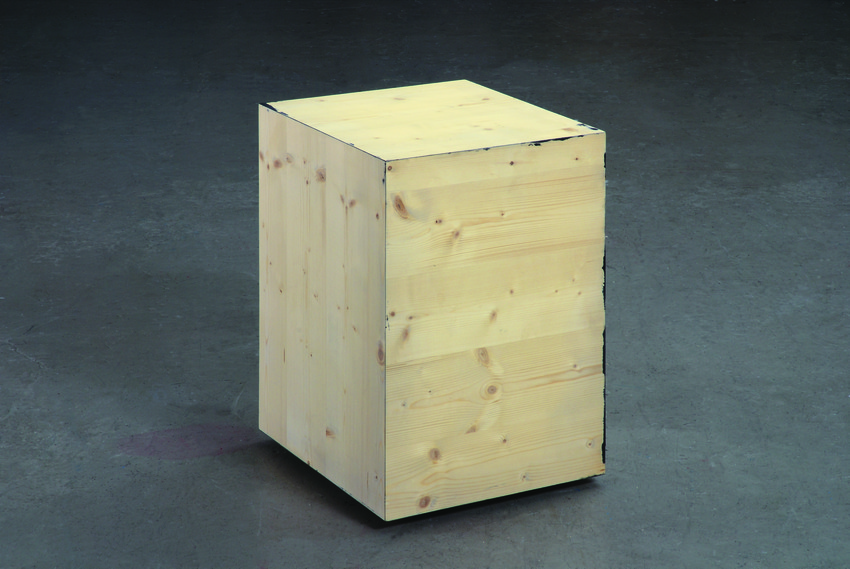 Caja negra 45 x 60 x 40 cm, 2005