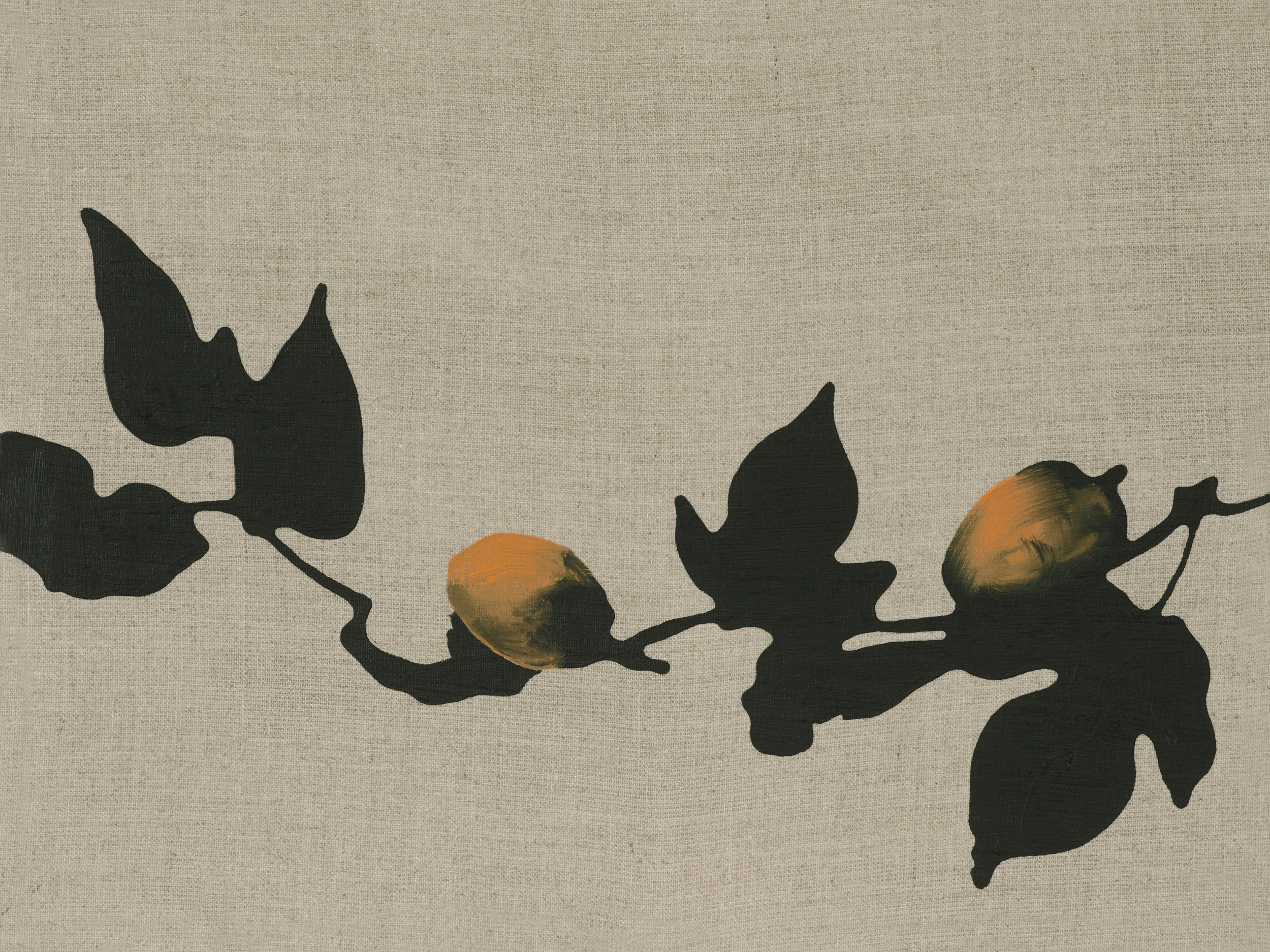 Ein weiblicher Marder stirbt, wenn er ein Jahr keinen Sex hat