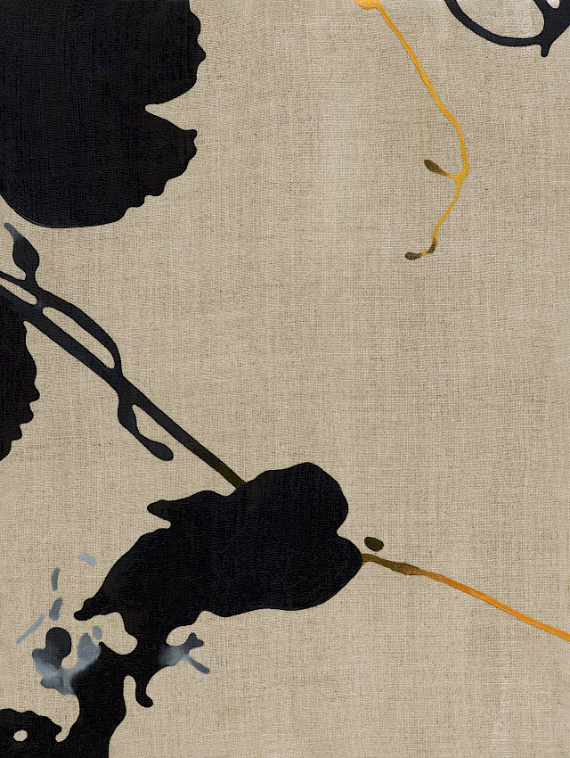 Most Martens Are Solitary Animals