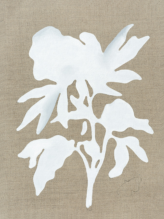 Yellow Snapshot Editor