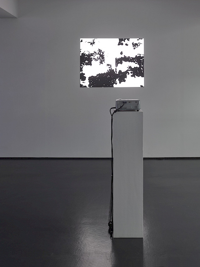 Philipp von Rosen Galerie, Colonia 2018