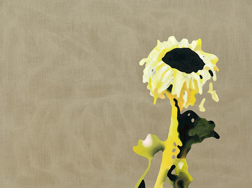 The Decision on the Decision of the Decision Is Hereby Decided