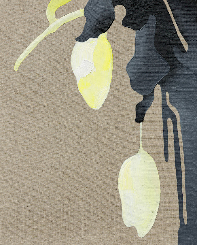 It Is Illegal to Wear a Fake Moustache in Church That Makes Others Laugh