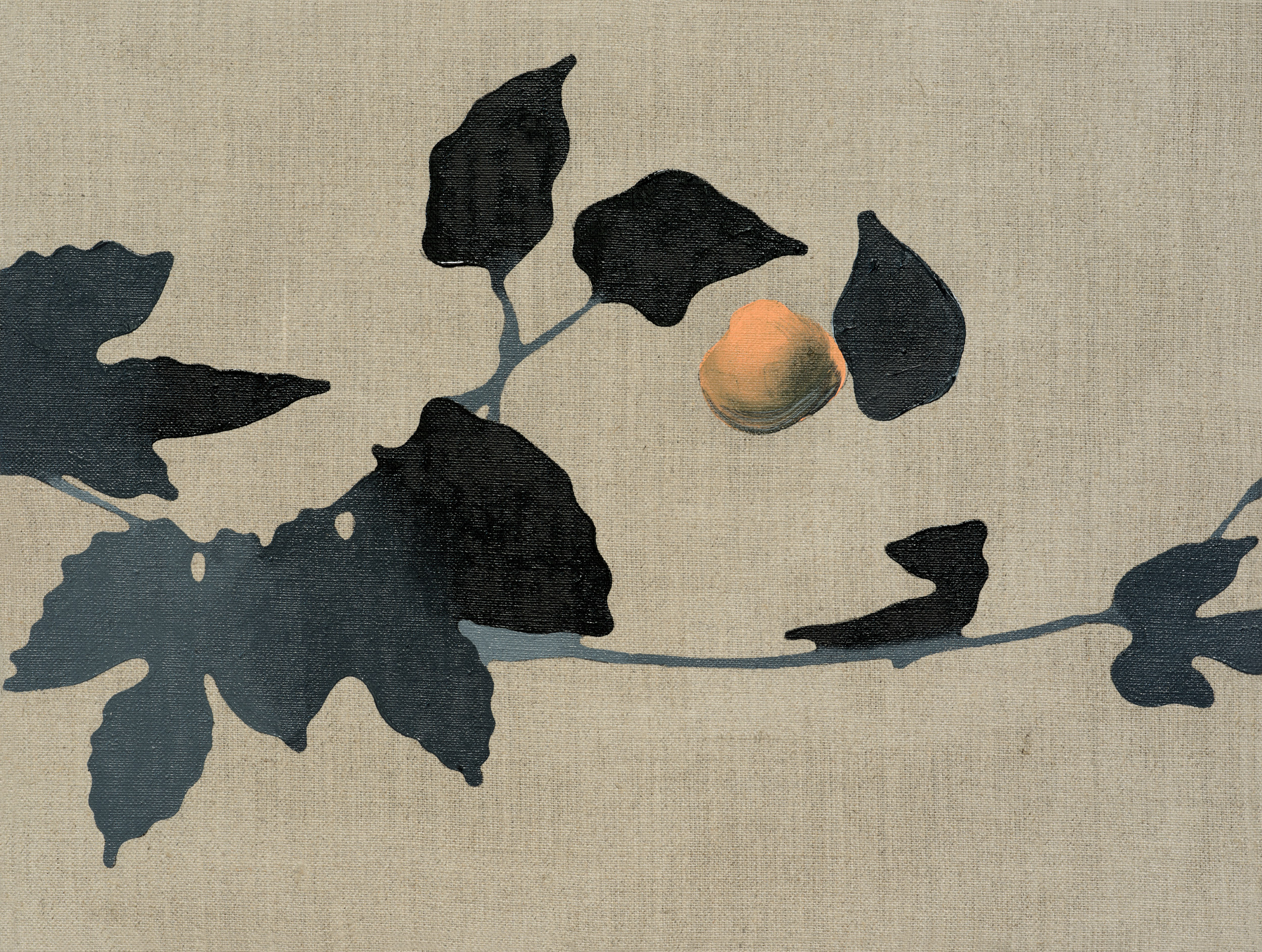 There Are No Martens at the North Pole