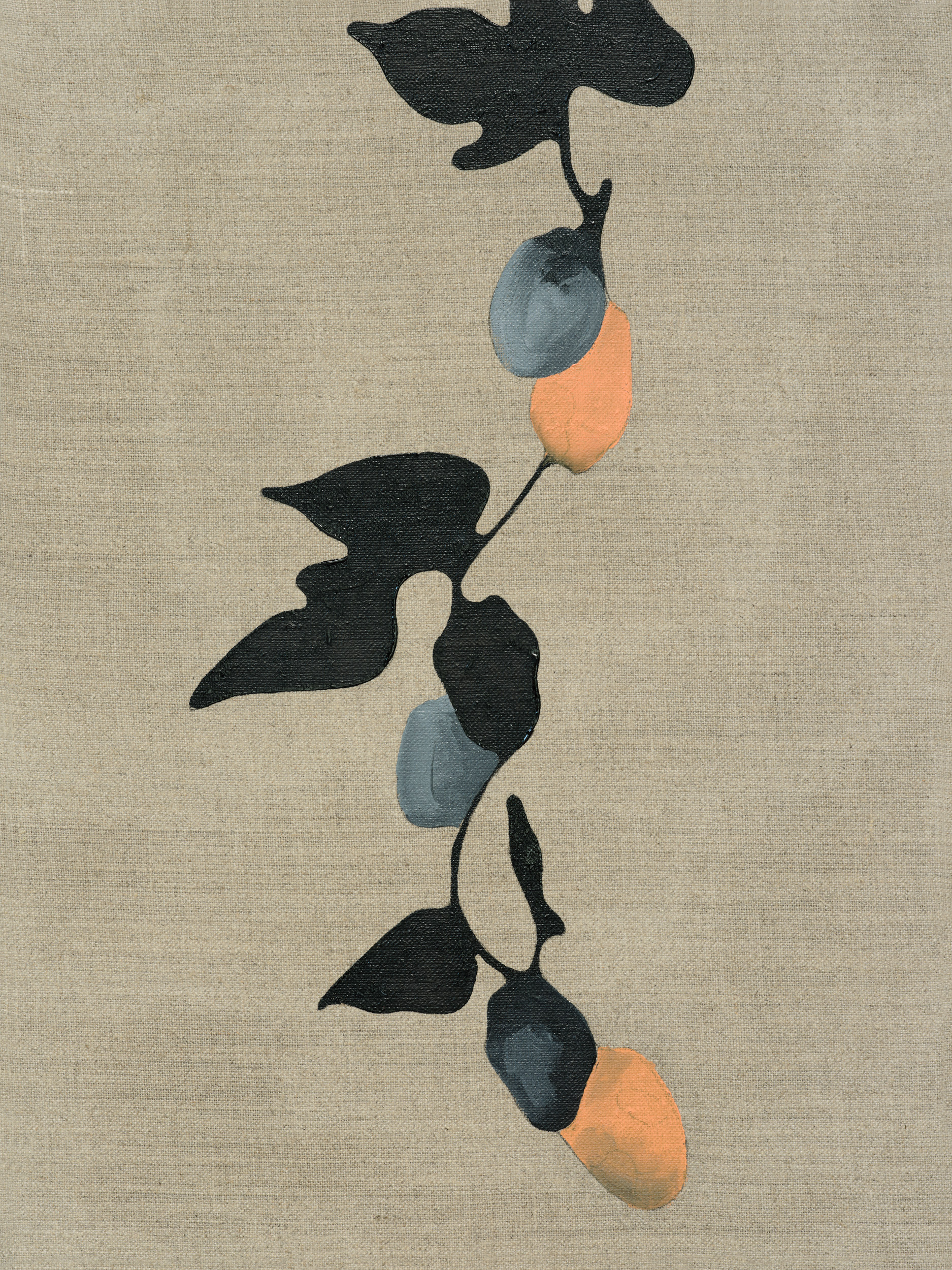 There Are Also No Martens at the South Pole