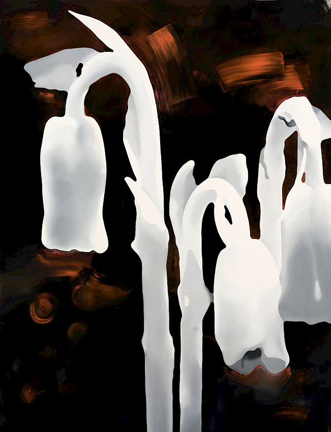 Despite Digital Cameras, Ghosts Used to Be More Photogenic